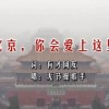 摇头摆尾生肖有几个